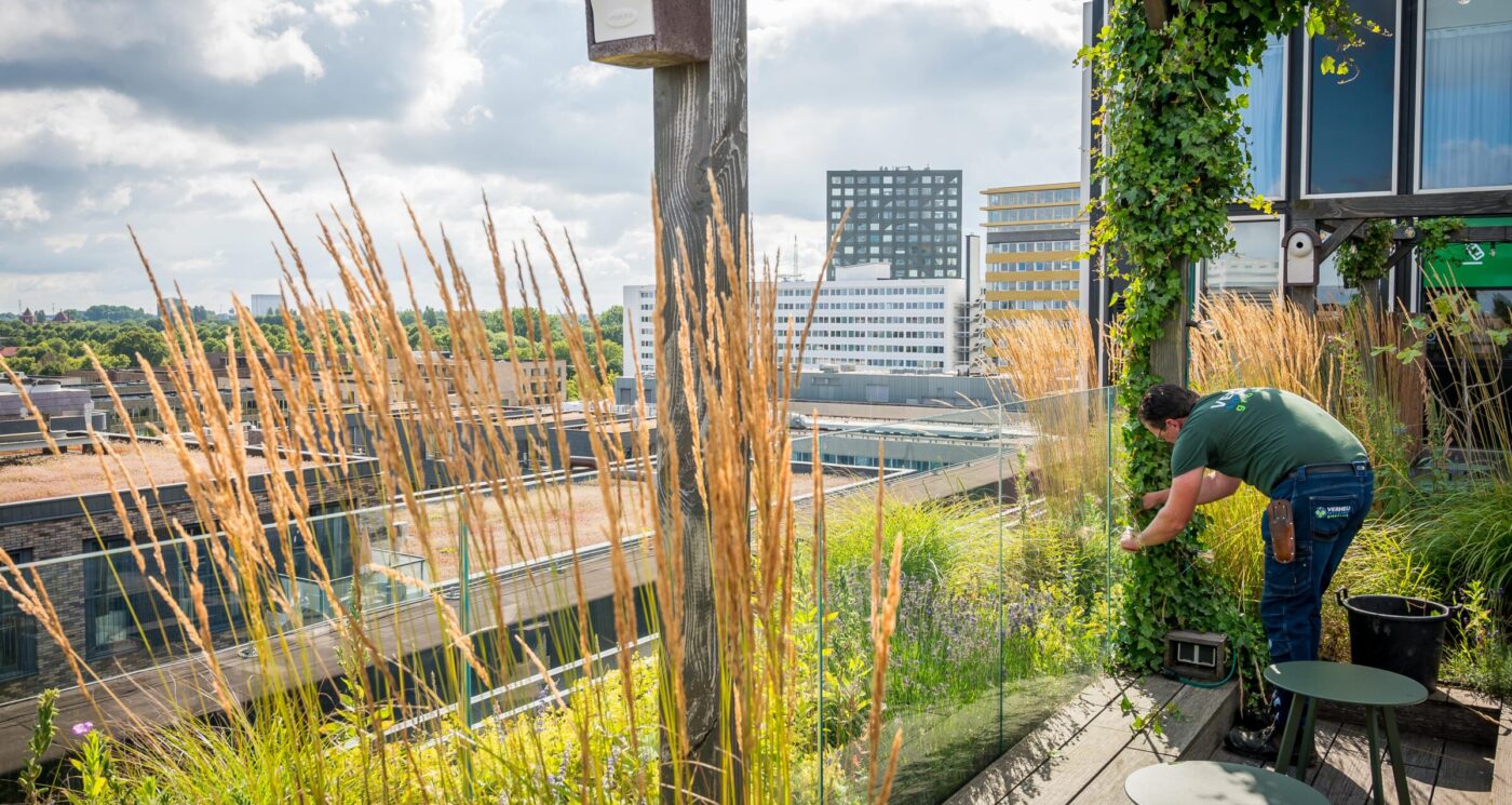 Bedrijfstuin aanleggen groenvoorziening hotel