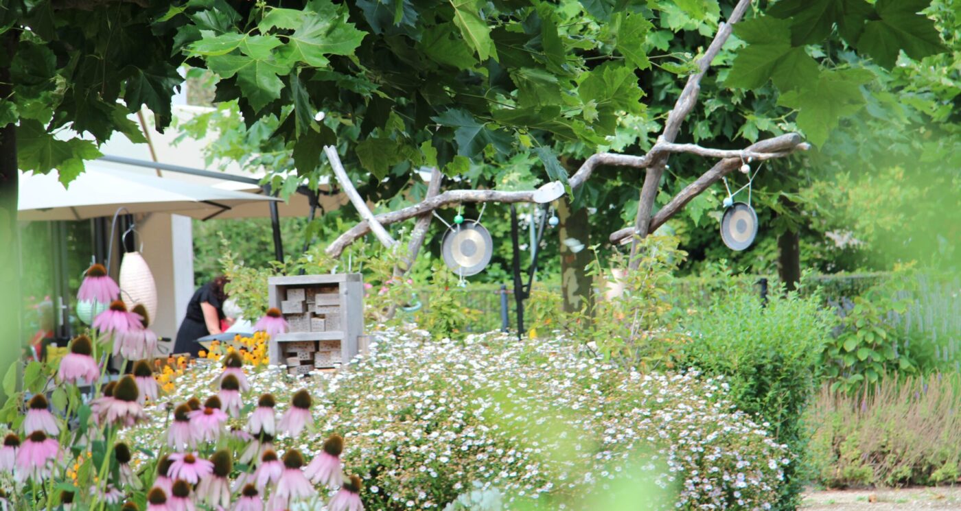 Beleeftuin aangeplant voor de biodiversiteit