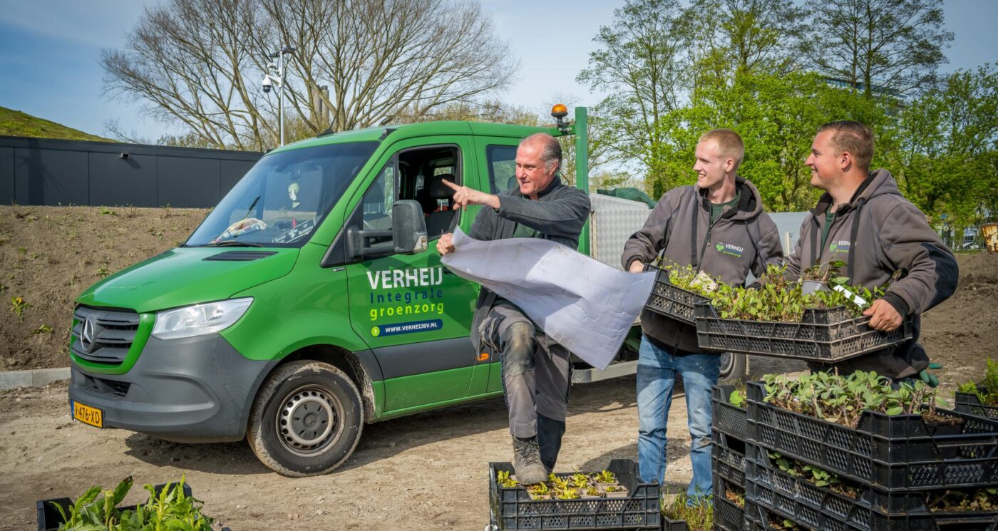 tuinontwerp groenvoorziening