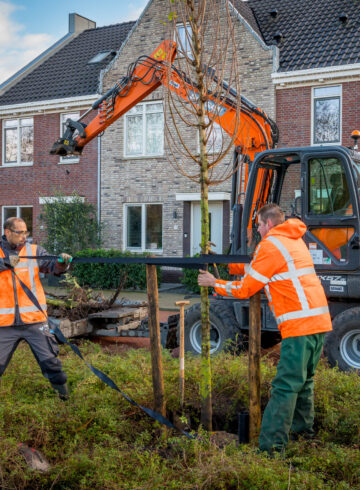 Kom je werken als groenvoorziener bij Verheij?