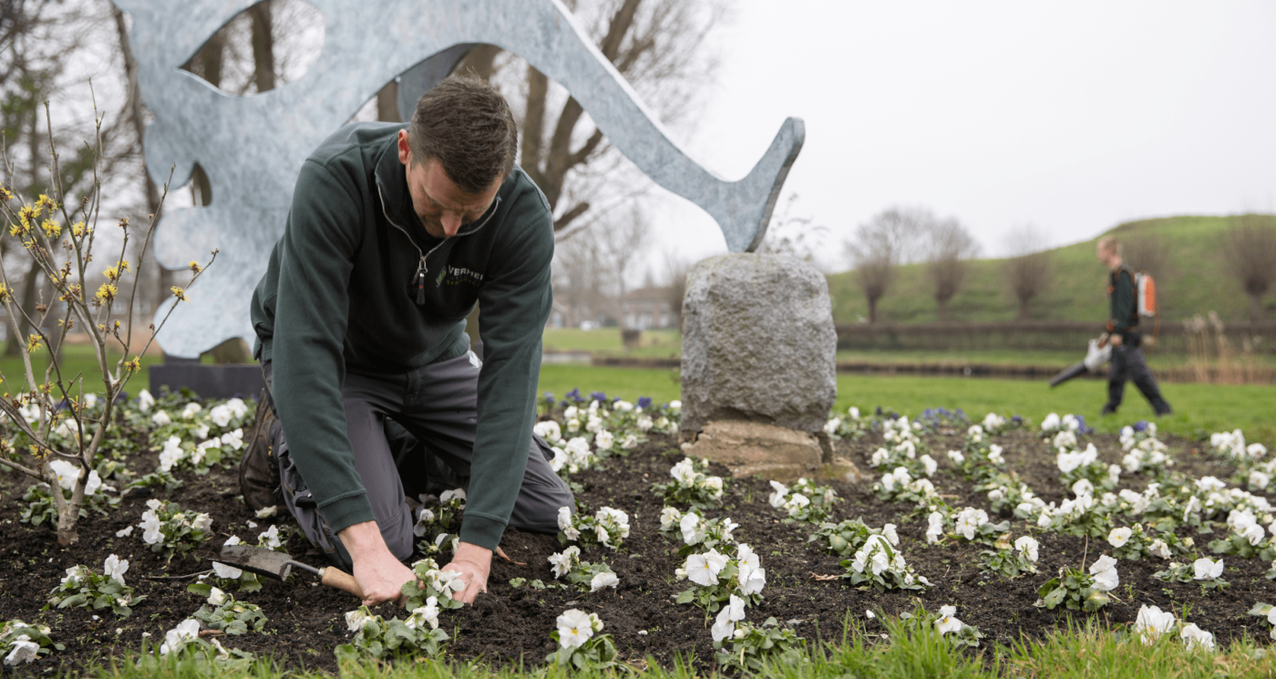 Vakmensen Verheij werken aan vergroening door groen aan te planten